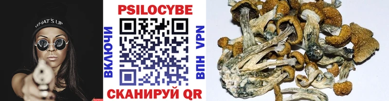 Галлюциногенные грибы Psilocybine cubensis  Вятские Поляны 