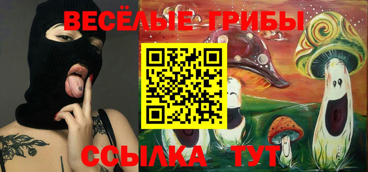 даркнет сайт  Вход с VPN  Вятские Поляны  Псилоцибиновые грибы ЛСД  Псилоцибиновые грибы мухоморы 