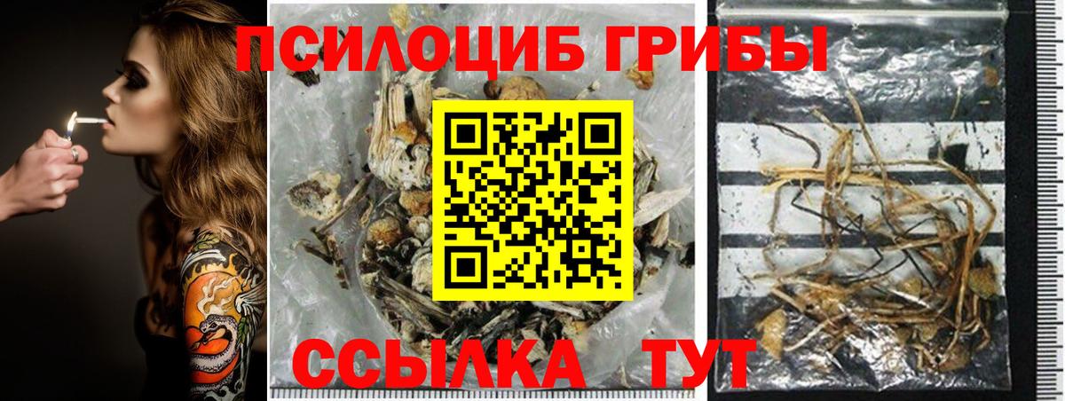 Галлюциногенные грибы мицелий Вятские Поляны